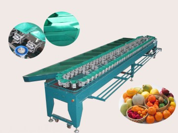 fruit grading machine