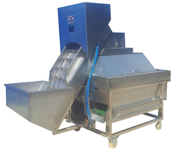 onion peeling machine